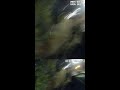 POLICE TAKEDOWN | Over the fence and under arrest