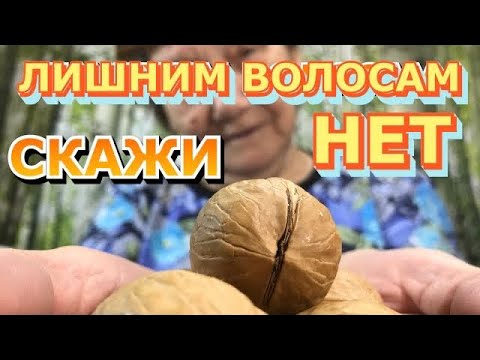 ЗОЛА ГРЕЦКОГО ОРЕХА ИЗБАВИТ ВАС ОТ ЛИШНИХ ВОЛОС! | Как Избавится от ненужных волос Советы Нины Барс!