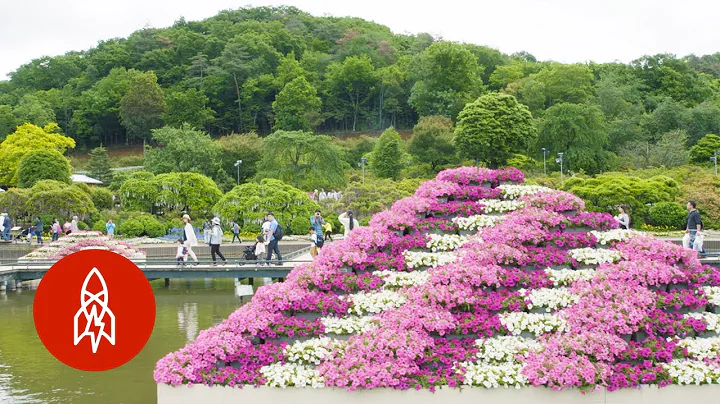 Float Through Japan's Floral Fairytale Wonderland - DayDayNews