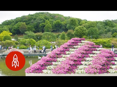 Video Float Through Japan's Floral Fairytale Wonderland