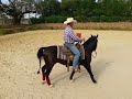 Ejercício fundamental para todo caballo de BARRILES - Círculo - Rui Pandolfo