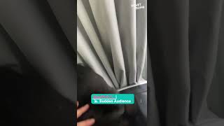 Cat Gets The Ultimate Jump Scare Watch Her Hilarious Reaction