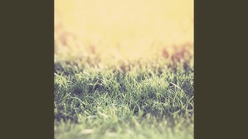 Pulsating Relaxing Moods