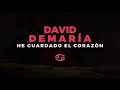 David DeMaría - He guardado el corazón (Lyric Video Oficial)