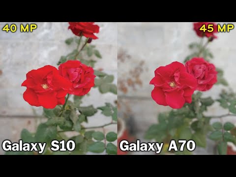 Samsung Galaxy S10 vs Samsung Galaxy A70 Camera Test! 😱