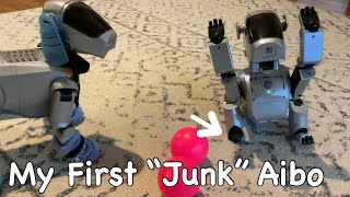 Story of Stumpy the Aibo, A “Junk” ERS111 With Three Paws