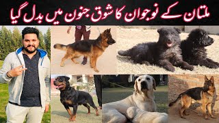 Visited at Ashir Baloch Dog Kennel in Multan Pakistan 2022 II German Shepherd I Rottweiler I