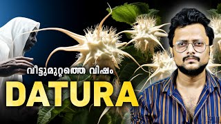 Datura/Ummath, Deadliest Drug | Malayalam | Aswin Madappally