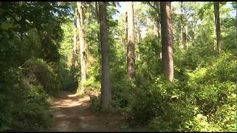 WAKE GOV TV - Open Space Prioritization Model