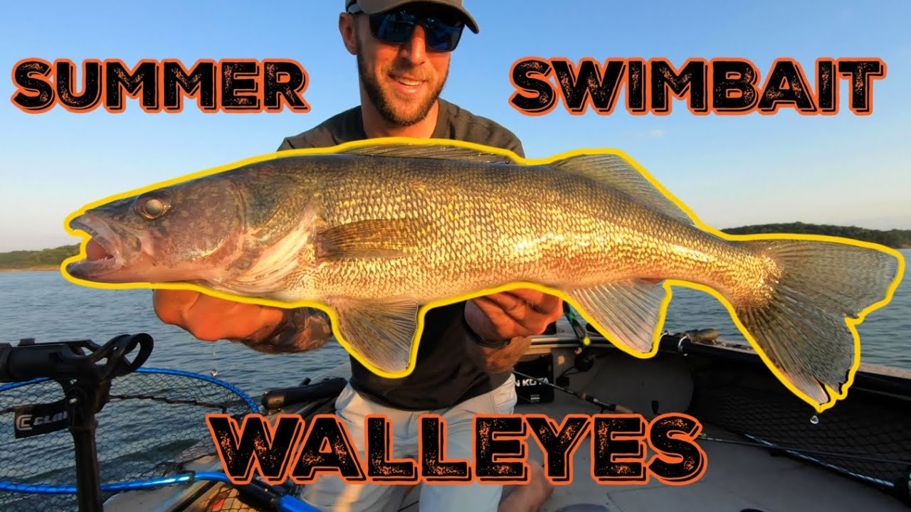Casting for Mid-Summer Walleyes with THIS Swimbait! 