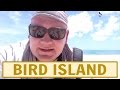 Video for "Bird Island", SEYCHELLES, VIDEO