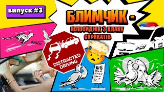 Блимчик. Випуск 3 - 🕊Голуби 💄💋🎀 - Блимчик Непосидюк з клану сурикатів | Казки українською