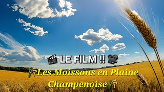 🌾LES MOISSONS EN PLAINE CHAMPENOISE🌾 : LE FILM !!🎬🤩