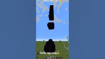 Minecraft turtle egg logic 🤔?  # chocomc #mincraftlogic #minecraft #logic