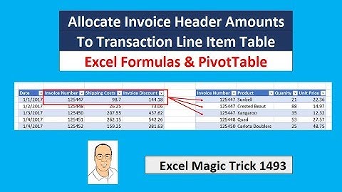 EMT 1493: Excel Formulas PivotTable: Allocate Invoice Header Amounts To Transaction Line Table