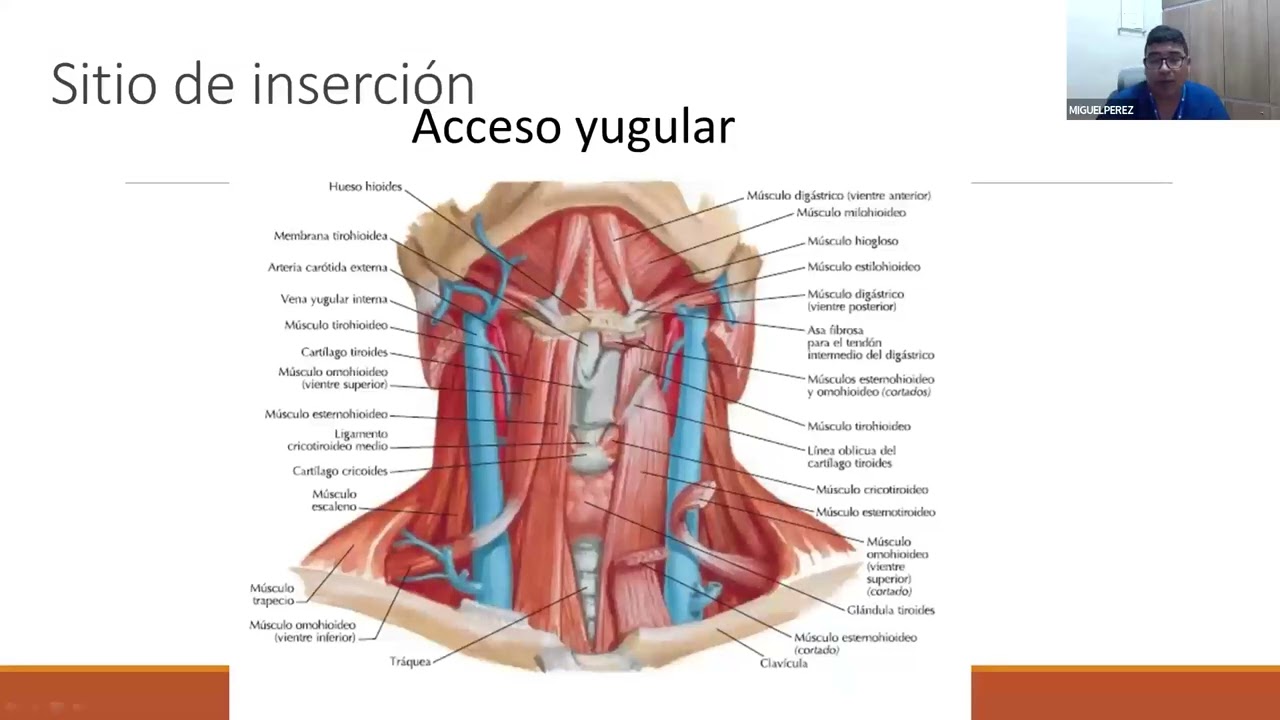 🎥✨ Martes de Divulgación Científica - 17 de marzo 2026 - Catéter venoso central