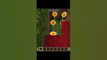 how to get rid of zombies 🤔 #minecraft #shorts