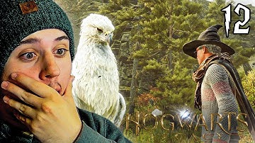 Beasts Class | First Time Playing Hogwarts Legacy - Part 12