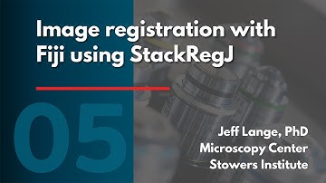 Image registration with Fiji using StackRegJ