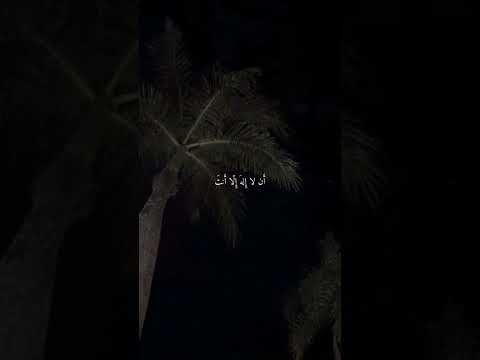 فنادى في الظلمات أن لا إله إلا أنت سبحانك إني كنت من الظالمين للقارئ اسلام صبحي