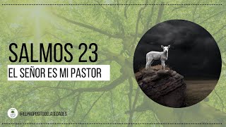 Salmos 23 - Estudio Biblico - Julio 2022