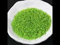 MIYUKI Round Rocailles Beads, Celery