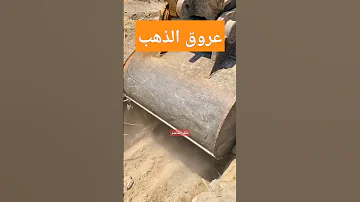 صوت عروق الذهب العبري 