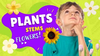 Budding Scientists: Preschool Plant Exploration For Ages 2, 3, and 4 Year Old's