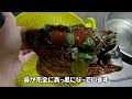 マグロの干物作ってみた