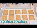 Making Your Own Homemade Graham Crackers | Bigger Bolder Baking