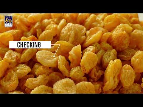 NRDC Success Story (Food Domain) - video from National Research Development Corporation