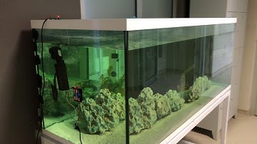 Underwater Wireless Optical Communication System Design / Sualtı Kablosuz Optik İletişim Sistemi