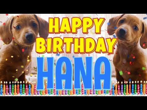Happy Birthday Hana Funny Talking Dogs What Is Free On My Birthday 