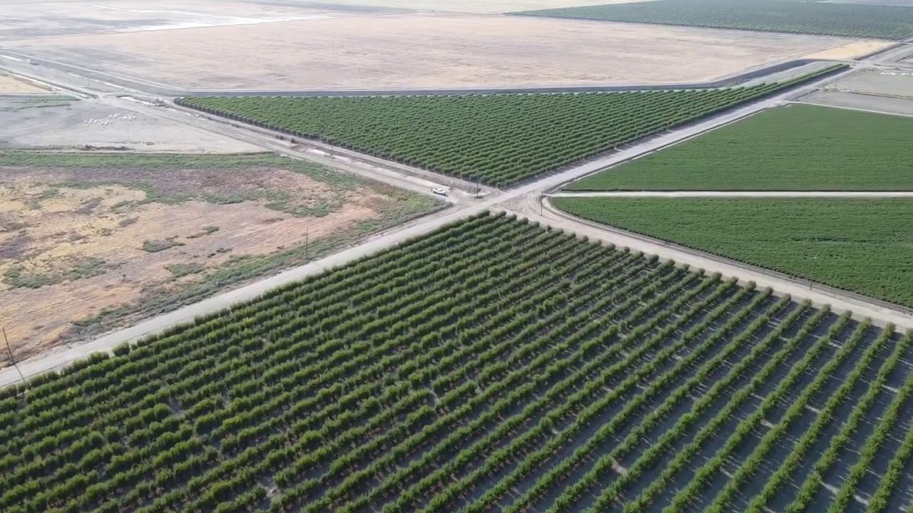 Sunny Brooks Farms YouTube