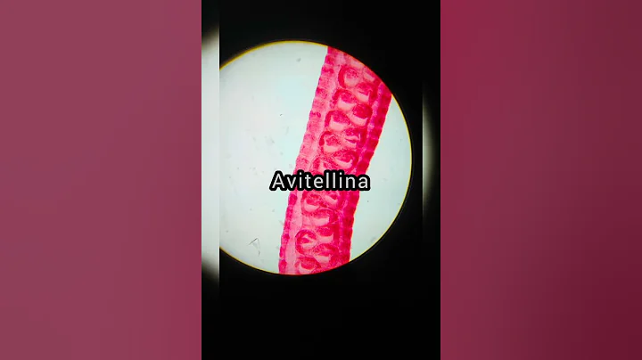 Veterinary parasitology days.... #parasite #vetlife #practical