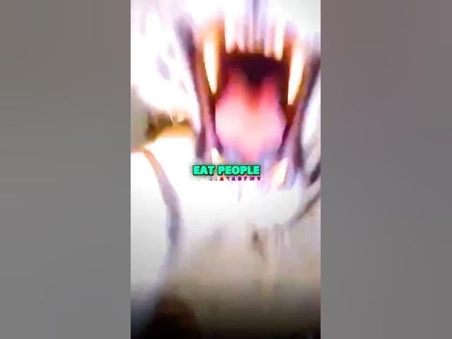 Why Joe Rogan hates Tigers