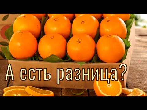 Video: Апельсин тимьянынан кандай мафинди жасоого болот