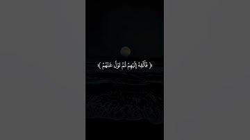 سورة النمل - بلال دربالي