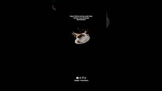 Download Lagu STORY WA 30 DETIK || Yang Penting Bahagia Bersamamu ❗❗ #story#trendingshorts MP3