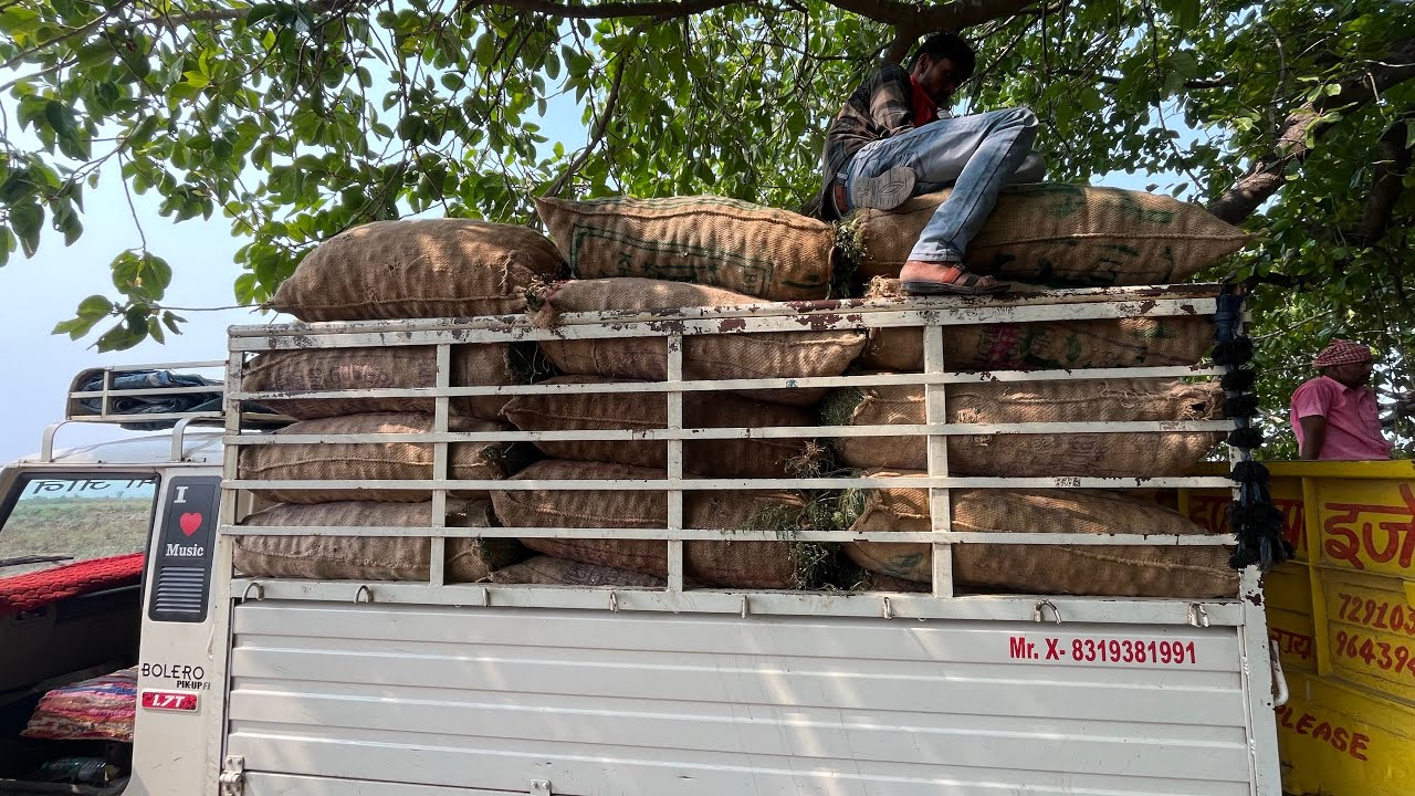 Wapsi loading mil gya 15 hajar ka 😍😍 || aaj gadi me parwal loading hua uttar pradesh se 😍