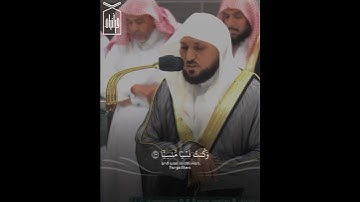 ﴿فَناداها مِن تَحتِها أَلّا تَحزَني ﴾ من سورة مريم .. للشيخ ماهر المعيقلي 🤍..