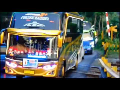  DJ  Geleng  Geleng  versi Bus Pariwisata Oleng  YouTube