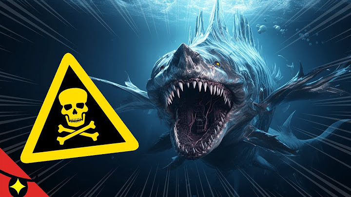 Ce qui se cache vraiment au fond des abysses 🥽🦈
