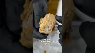 YOU CAN MAKE DIAMONDS OUT OF THIS!?
We put a popular internet myth to the test, can you turn coal in diamonds?
Check out the list of materials we used, linked below! ⬇️🔗
Join our NEW DISCORD: https://discord.gg/CPUzJgaHaG
Follow us on Social Media: https://linktr.ee/tkor1
Royalty Free Music from Epidemic Sound.
WARNING:
This video is only for entertainment purposes. If you rely on the information portrayed in this video, you assume the responsibility for the results. Have fun, but always think ahead, and remember that every project you try is at YOUR OWN RISK.
This video is dedicated to our friend and founder Grant Thompson- the one and only King of Random.
#tkor #thekingofrandom
THANK YOU!! ✌️👑 YOU CAN MAKE DIAMONDS OUT OF THIS!?