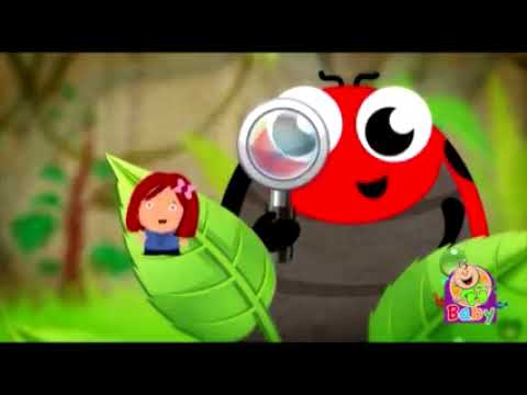 اغنية الحواس الخمسة قناة بيبي