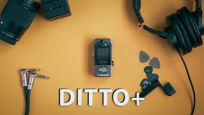 Pedal TC ELECTRONIC Stereo Ditto - Mundomax