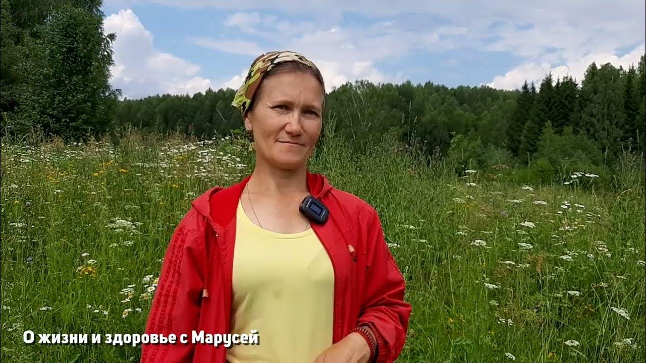Трава топтун глисты гонит волосы от нее здоровеют веснушки выводит ...