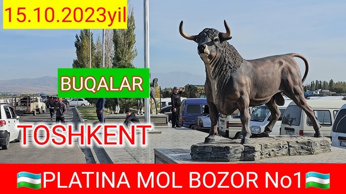 Gozal qiz xxx video Erotik porno video bepul