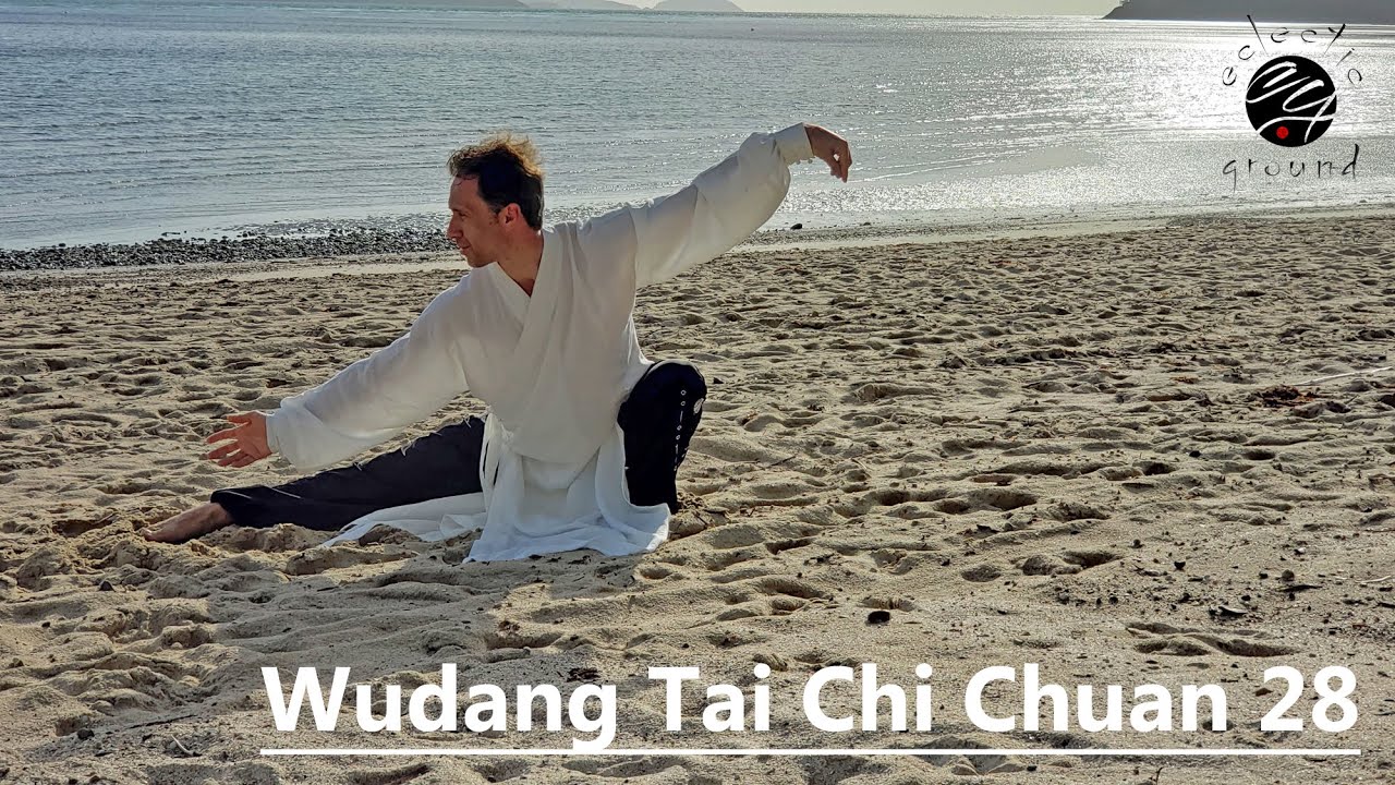 Wudang Tai Ji Quan 28