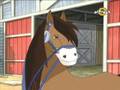Horseland Wild Horses Episode Romanian 1